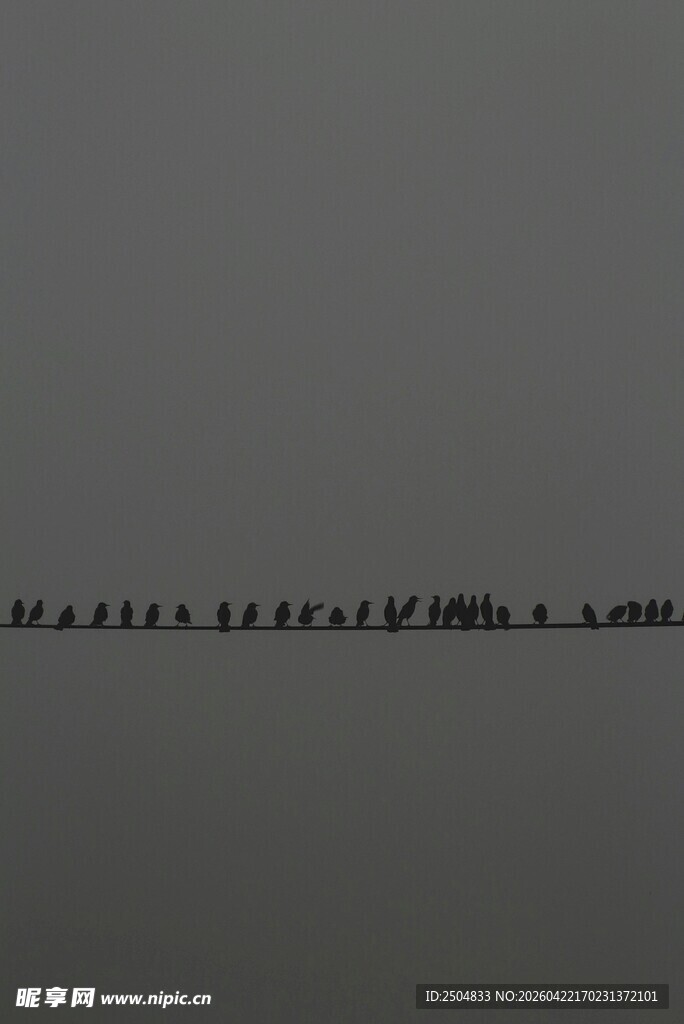 黑色纹理装饰条