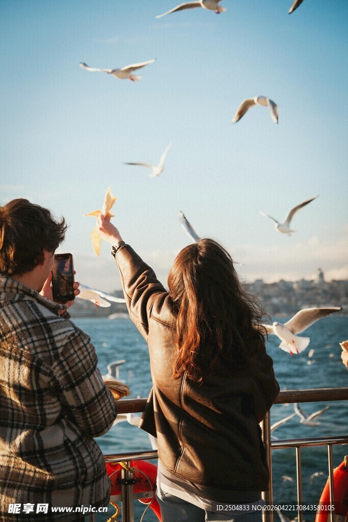 情侣海上喂海鸥美好瞬间