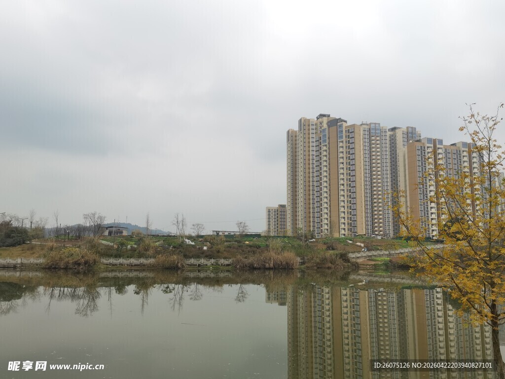 湖畔高楼景色