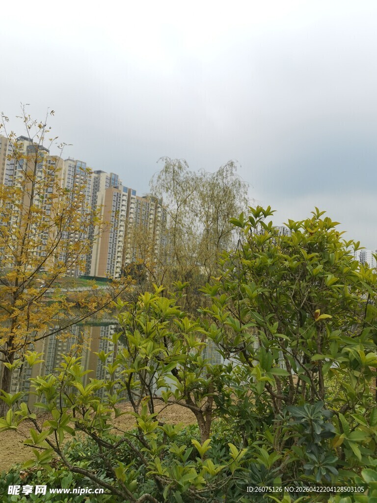 户外绿植与建筑景观