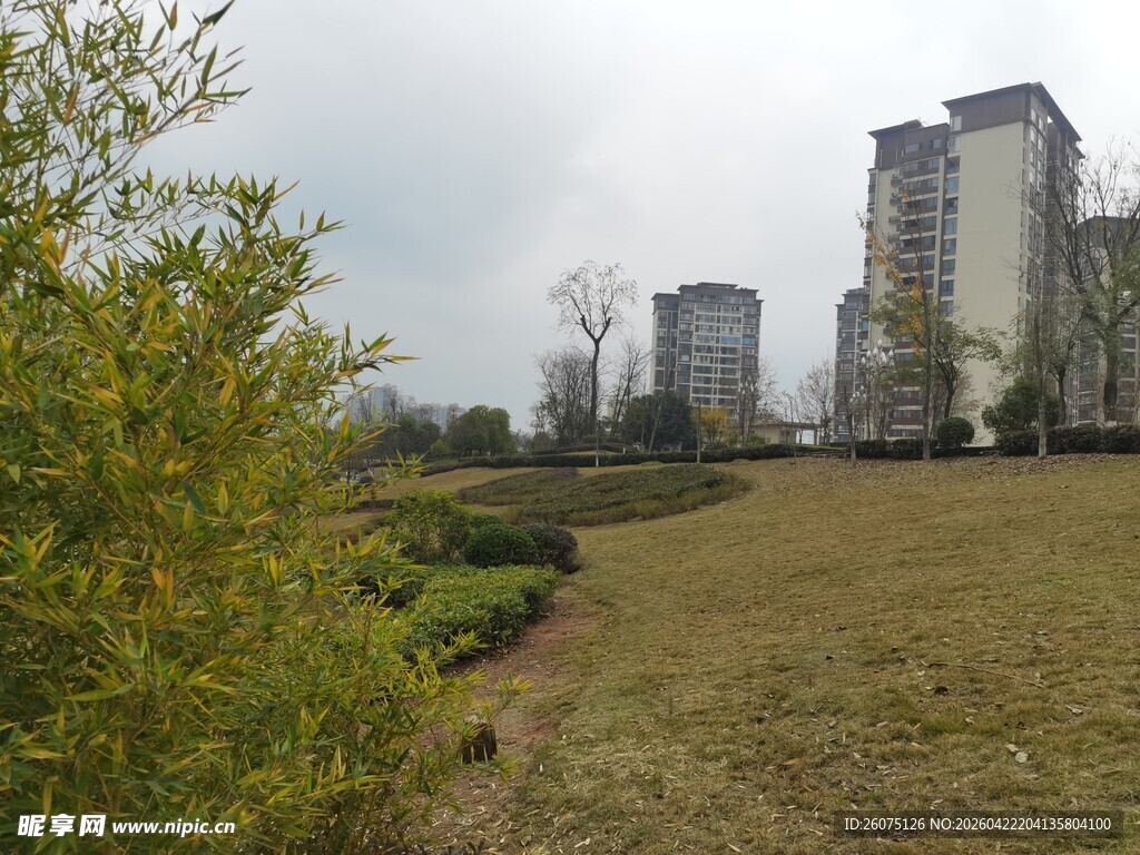 城郊草地与远处高楼景观