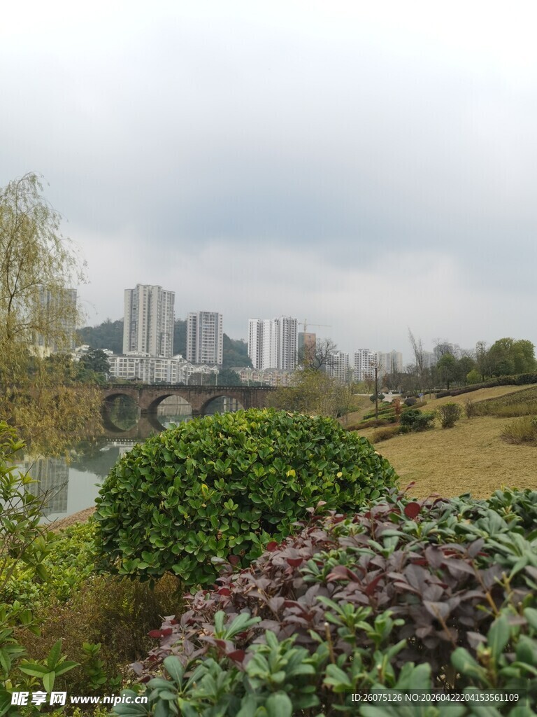 城市边的绿植与远处建筑