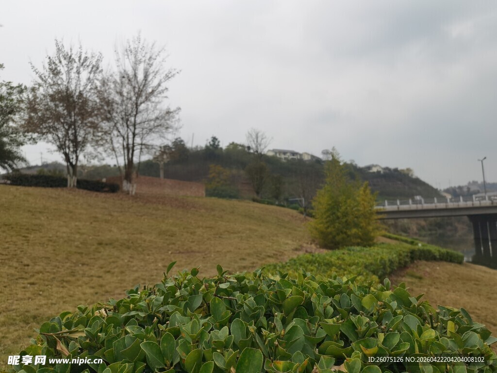 郊外草地绿植风景图