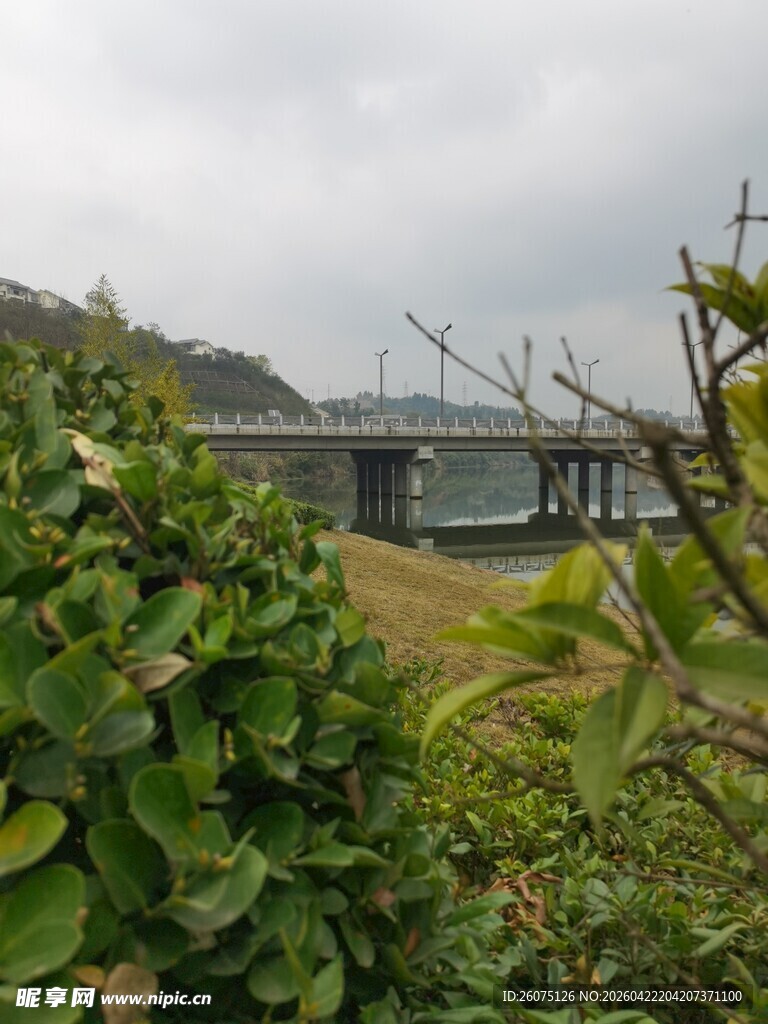 绿植掩映下的桥梁景观