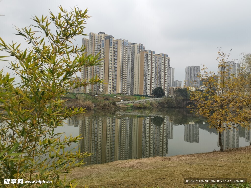 湖畔高楼与绿植景观
