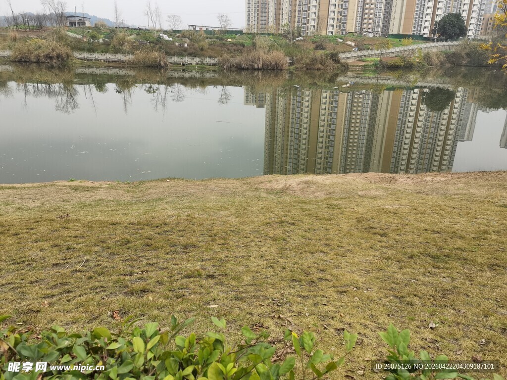湖畔草地与城市建筑倒影