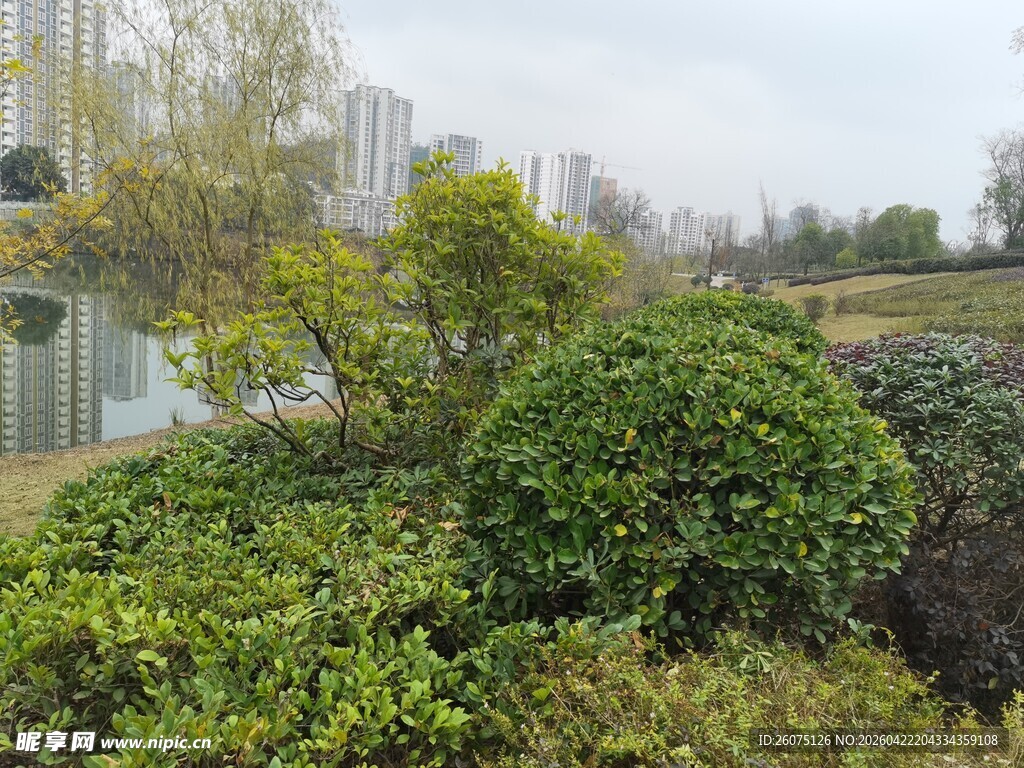园林绿植景观一角