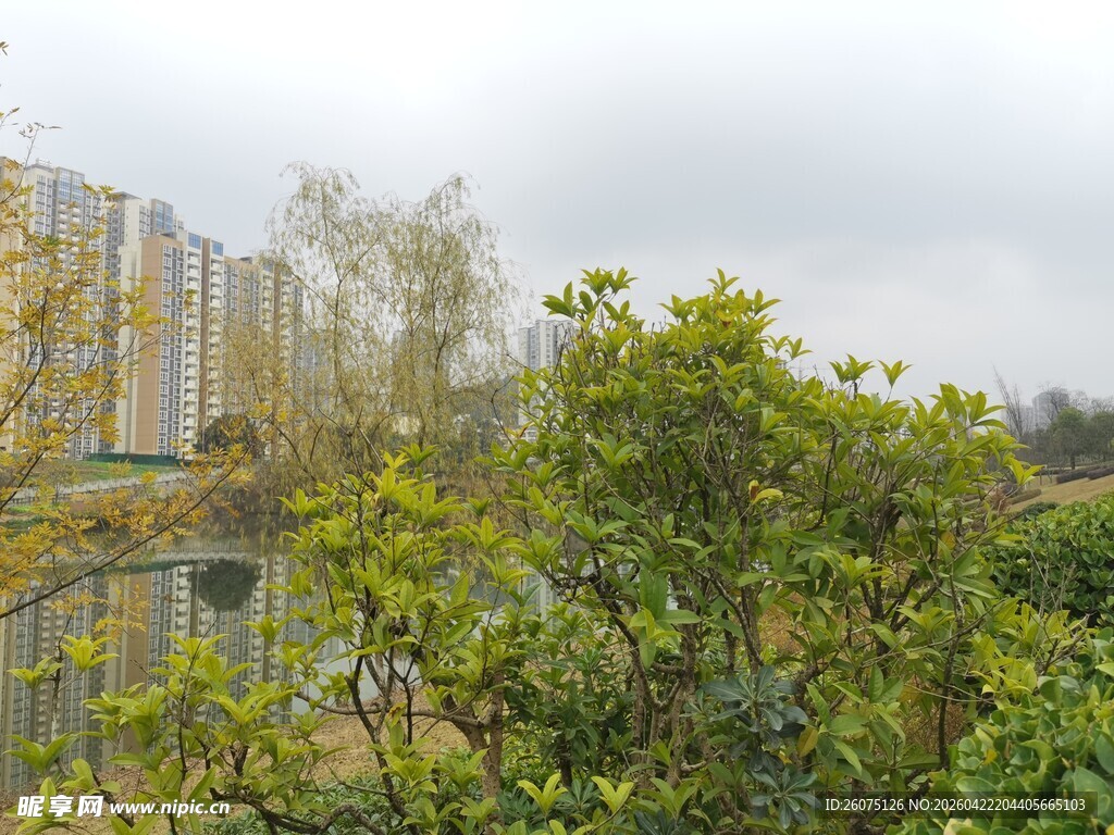 户外绿植与建筑景观