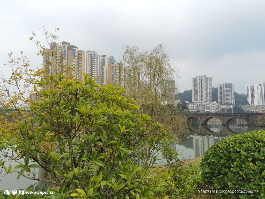 城市河畔绿植与高楼景致
