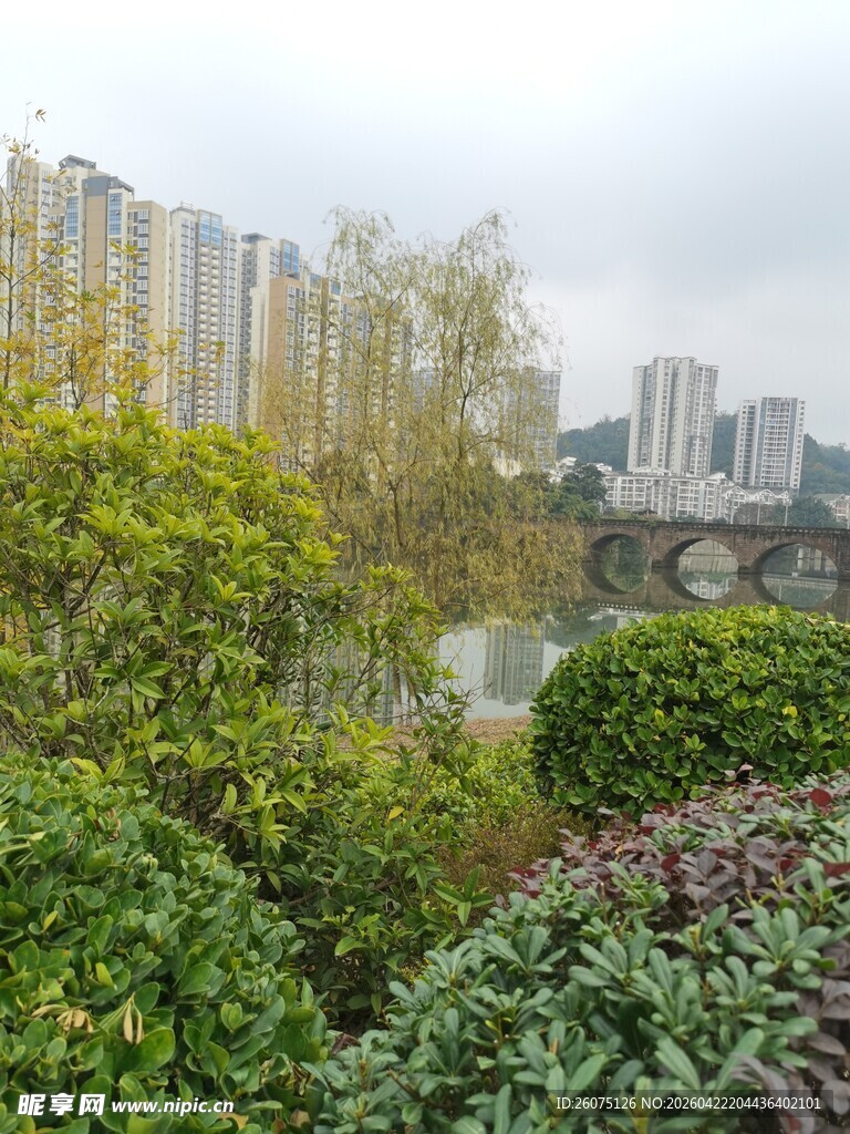 城市绿植环绕的高楼景观