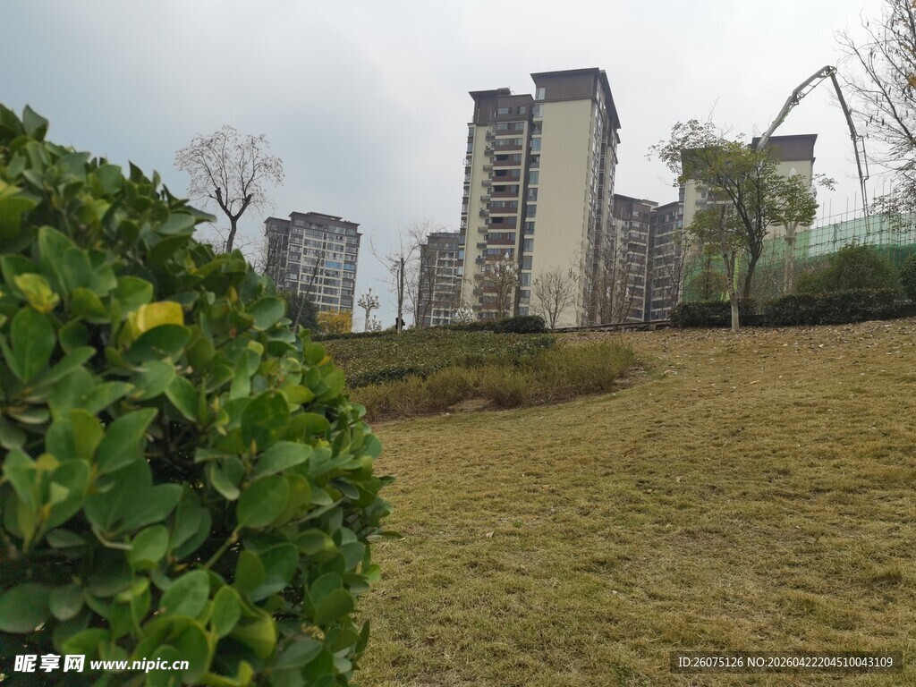 城市草地旁的高楼景观