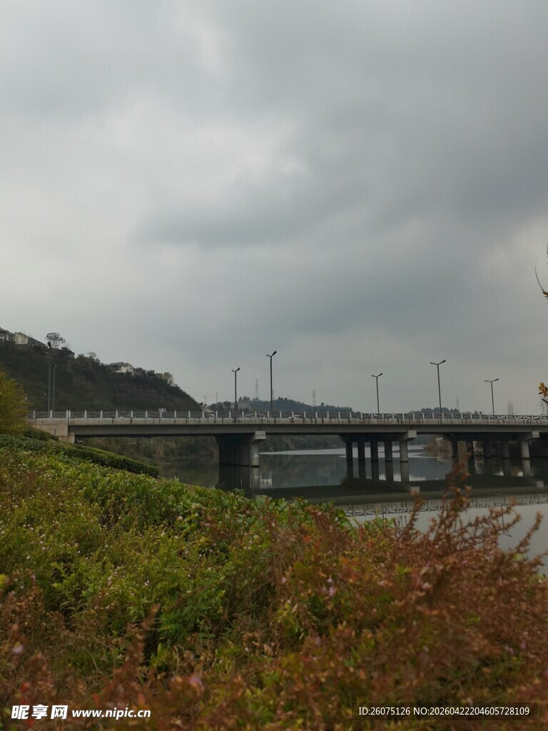 河畔桥梁风景