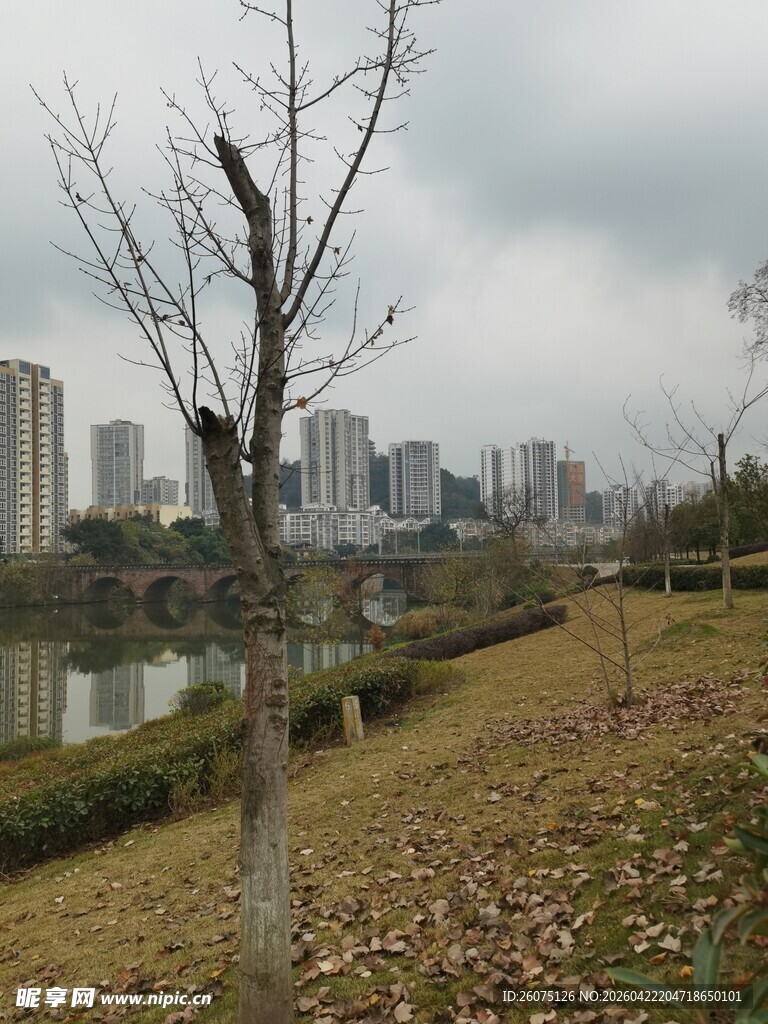 城郊冬日湖畔萧瑟景象
