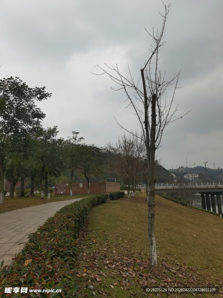 冬日公园小径景色