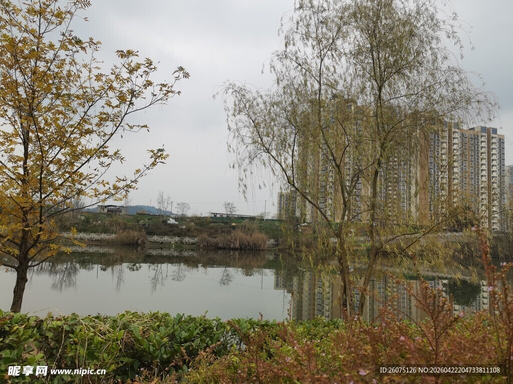 湖畔秋日风景