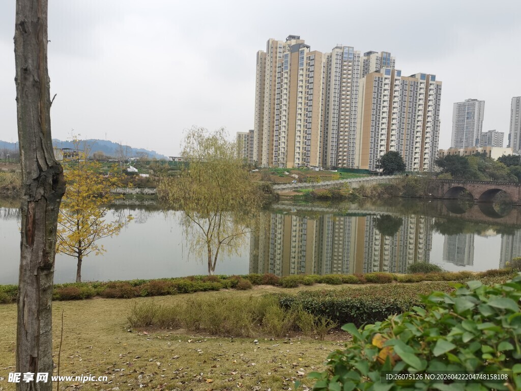 湖畔高楼景观