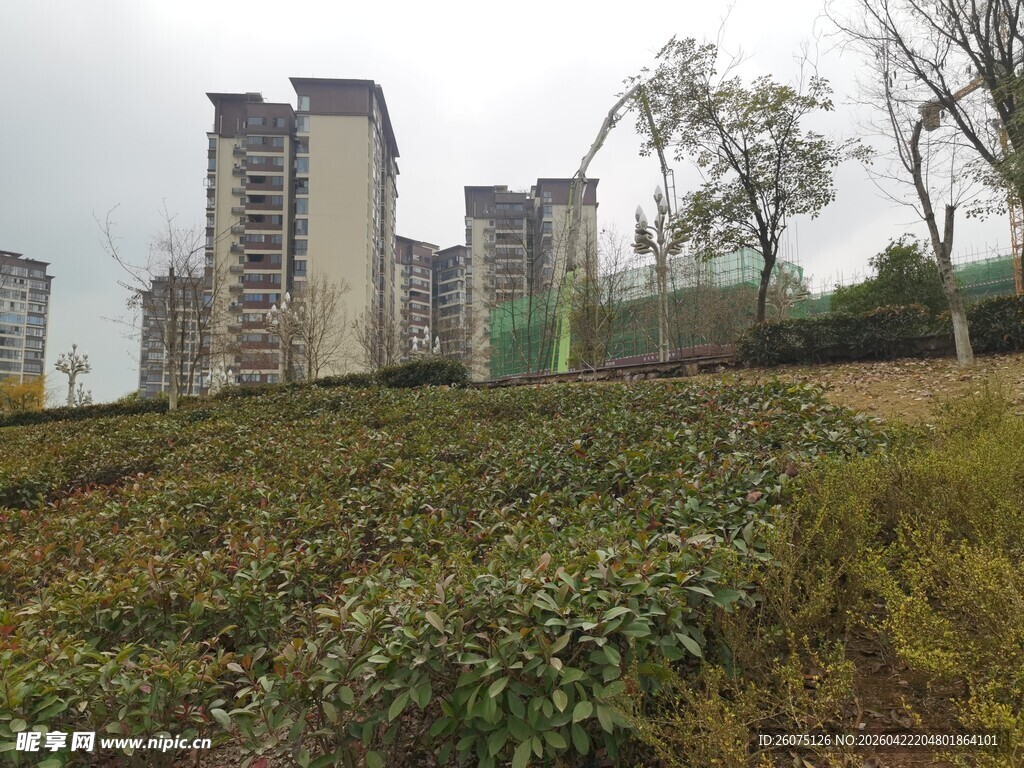城郊绿植旁的高楼景观
