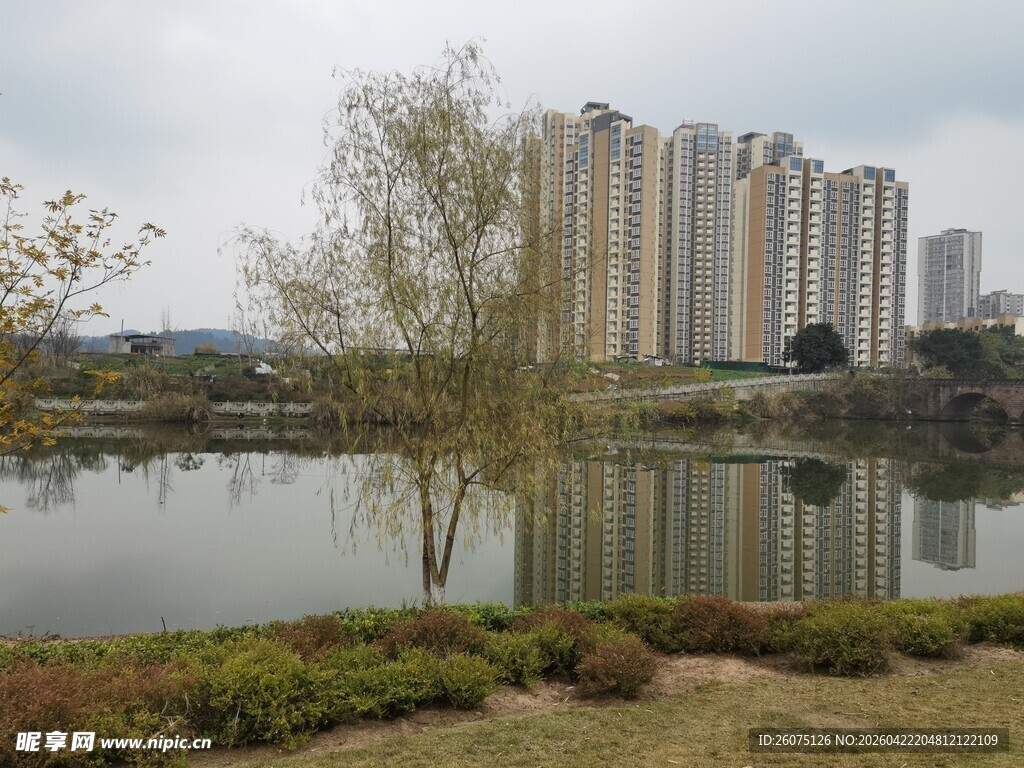 湖畔高楼与葱郁树木景观