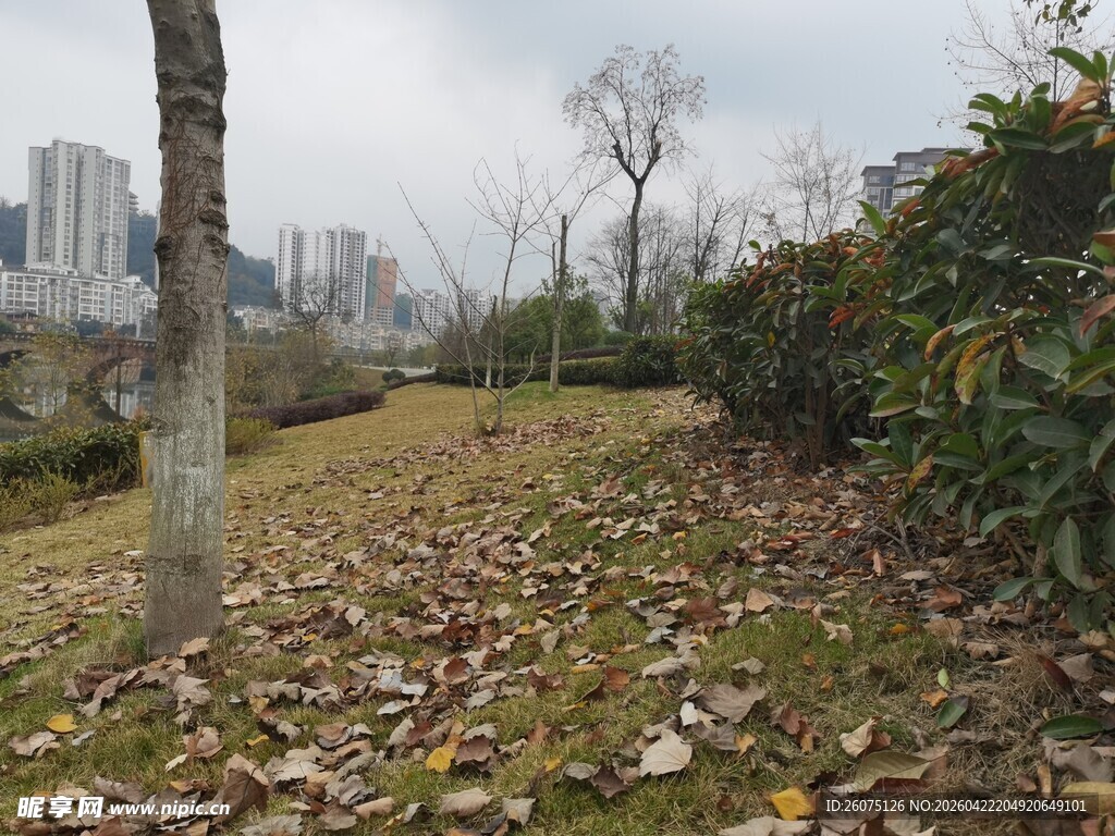 城市秋冬交替的林间小道