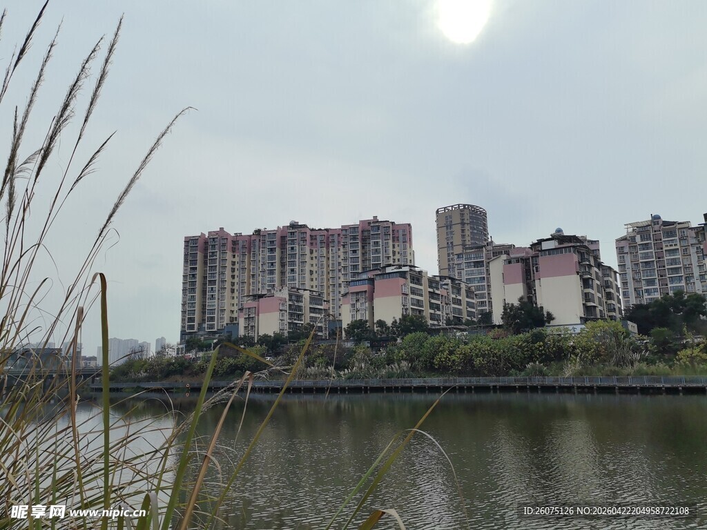 河畔城市景观高楼林立