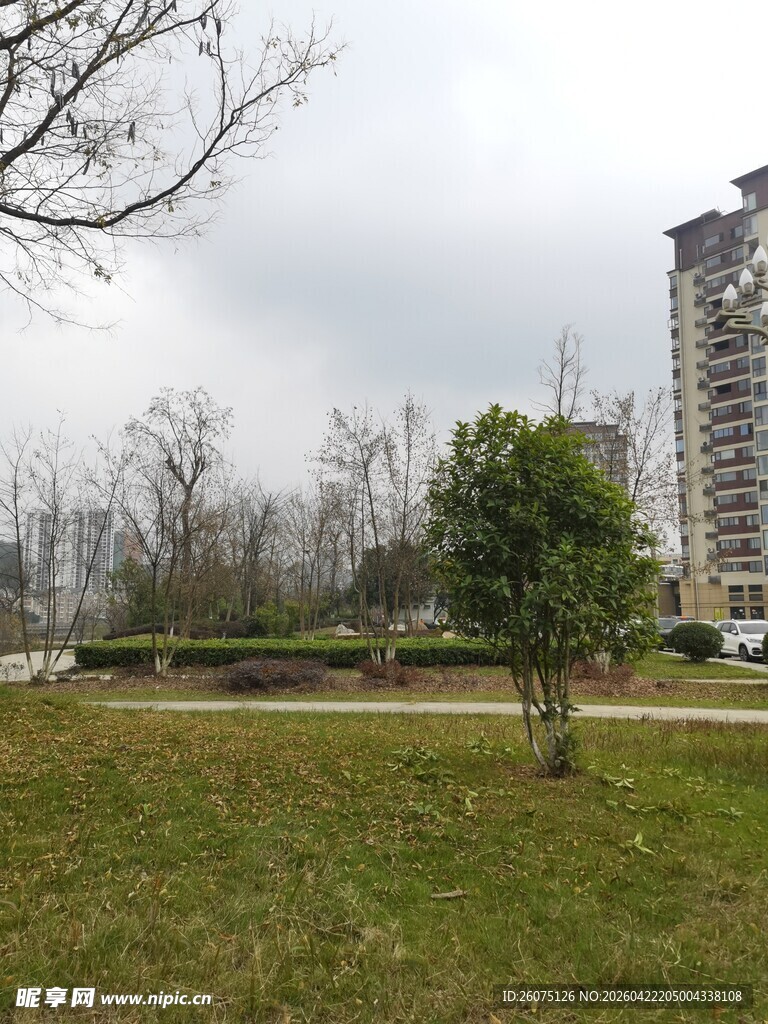 城市草地旁的高层住宅楼