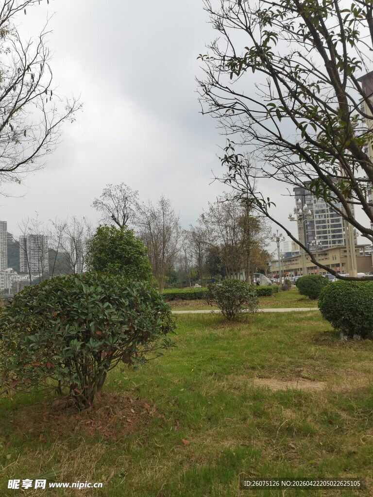 户外草地树木景观