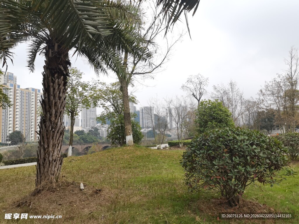 户外绿植景观