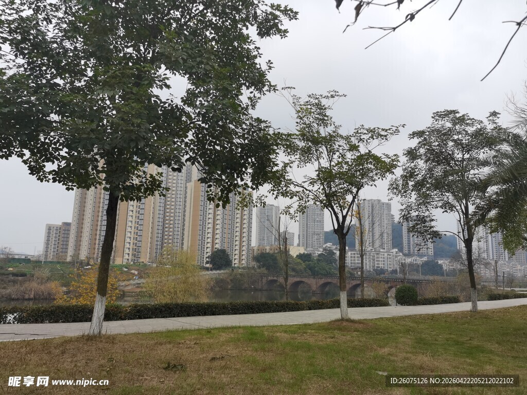 城市公园中的树木与建筑