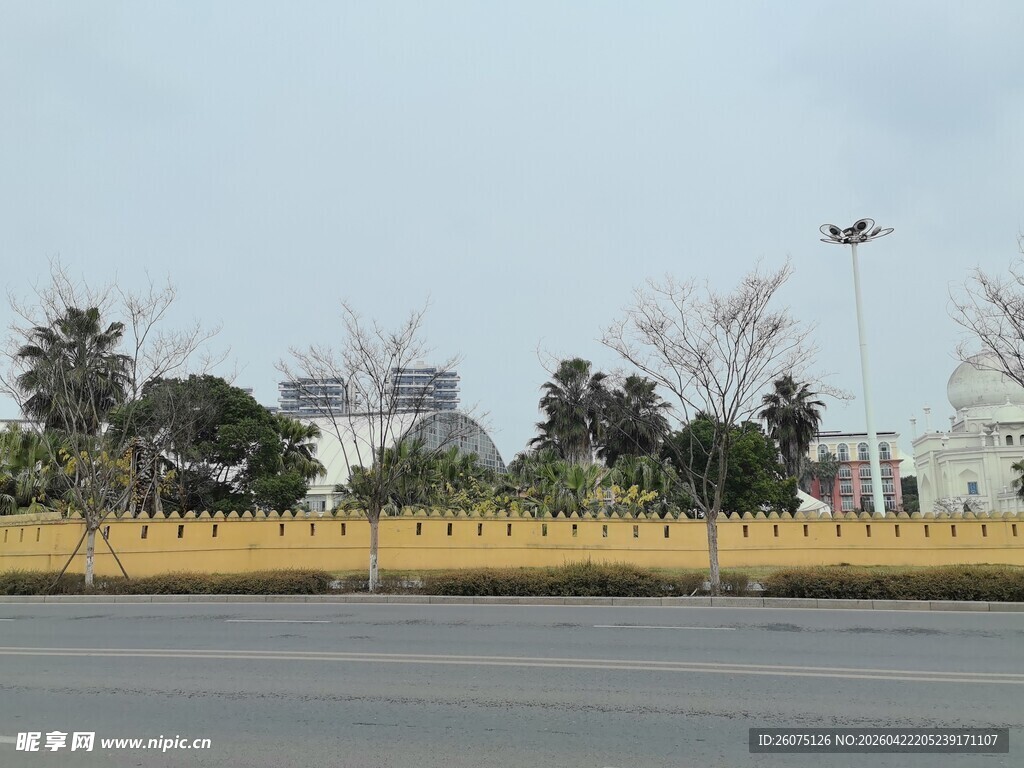 城市道路边的树木与围栏