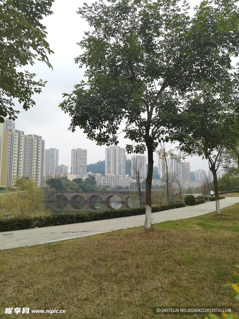 城市公园中的宁静小路