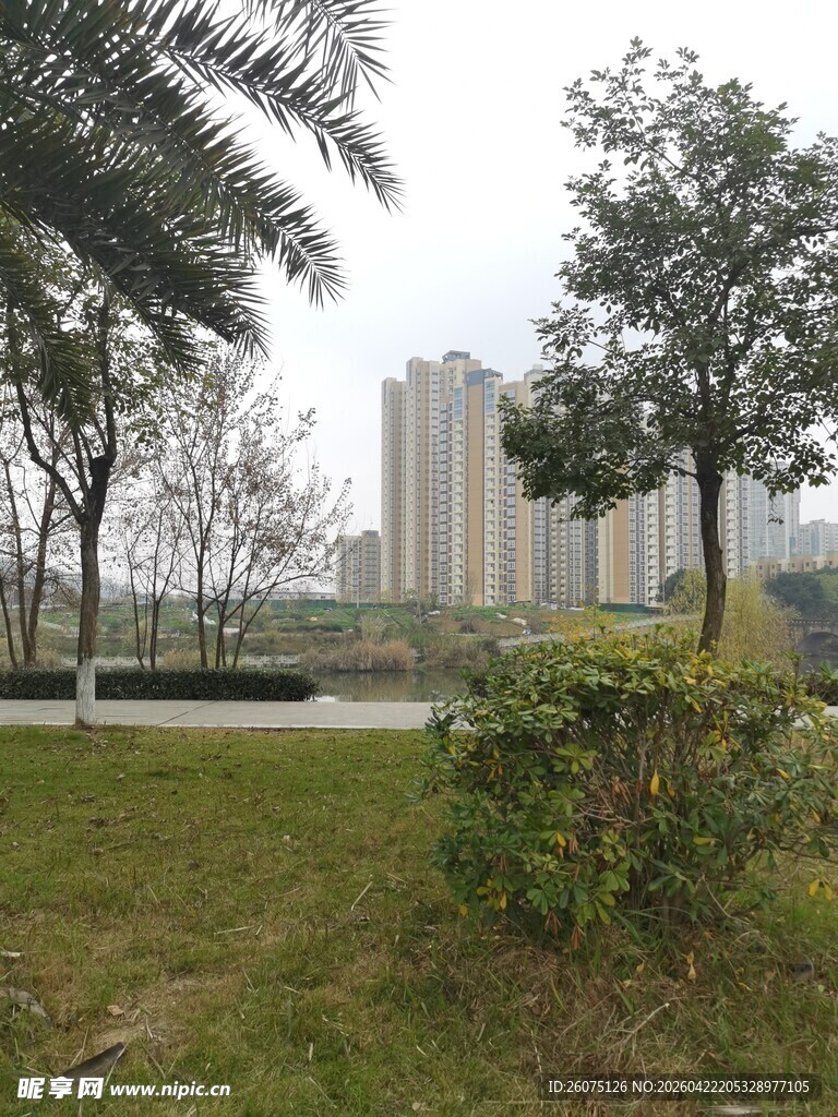 城市中的绿地景观