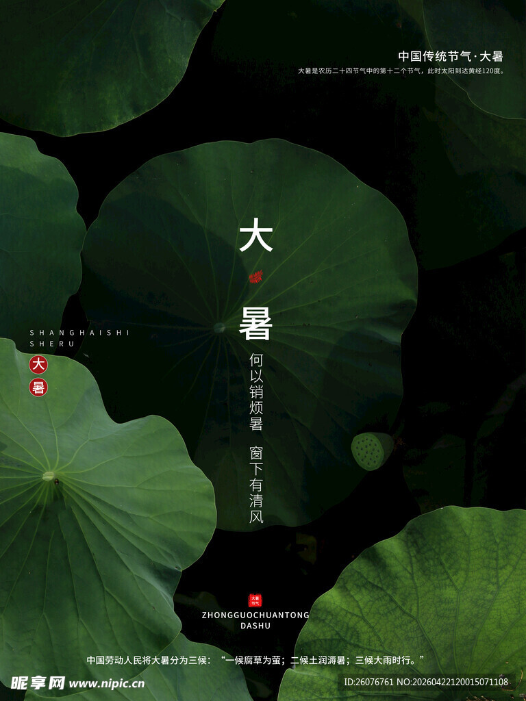 大暑海报
