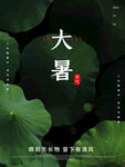 大暑海报 