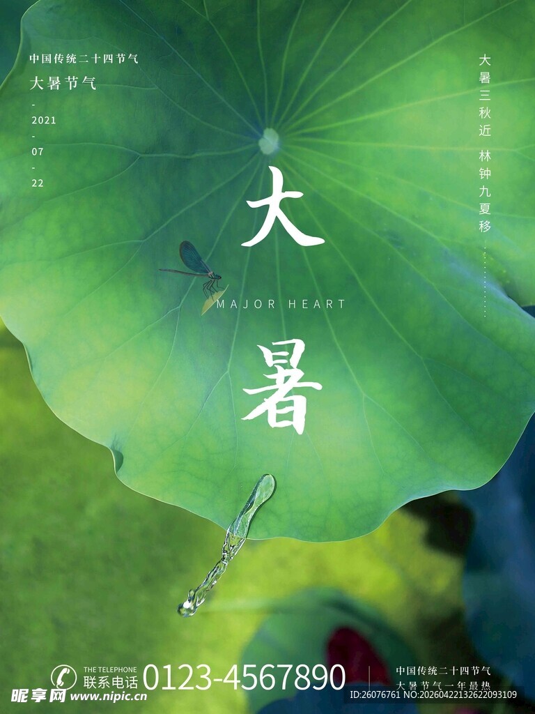 大暑海报 