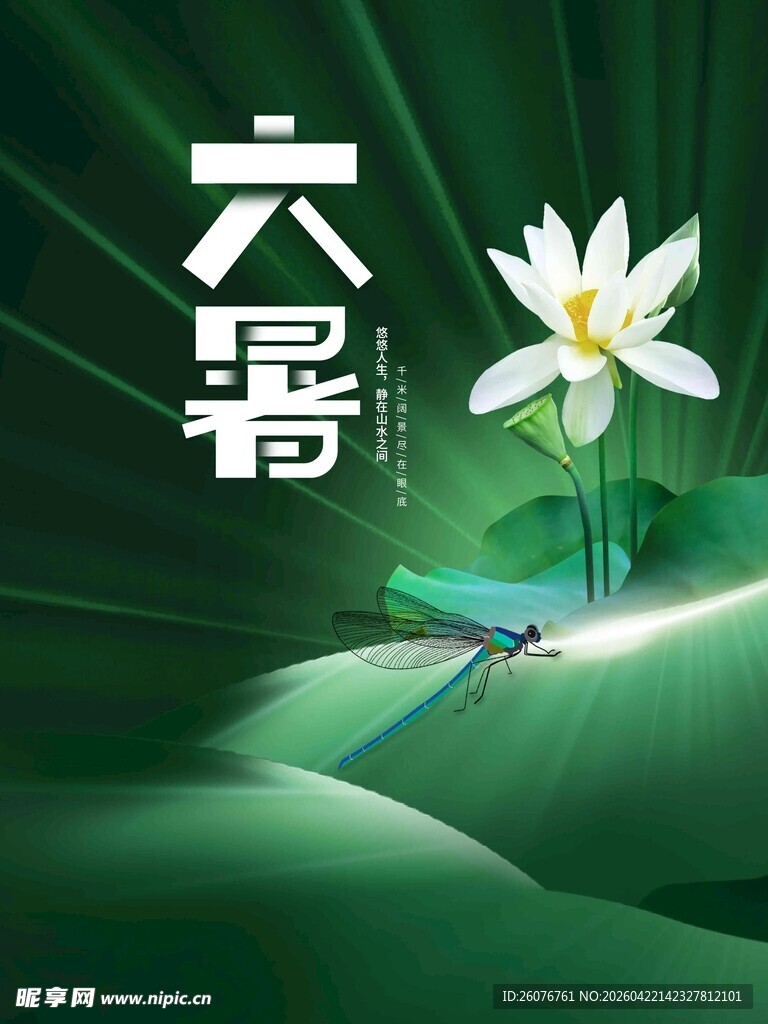 大暑海报 