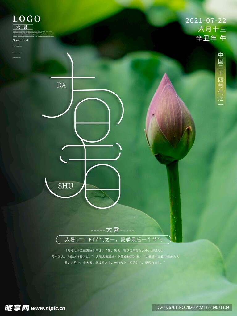 大暑海报 