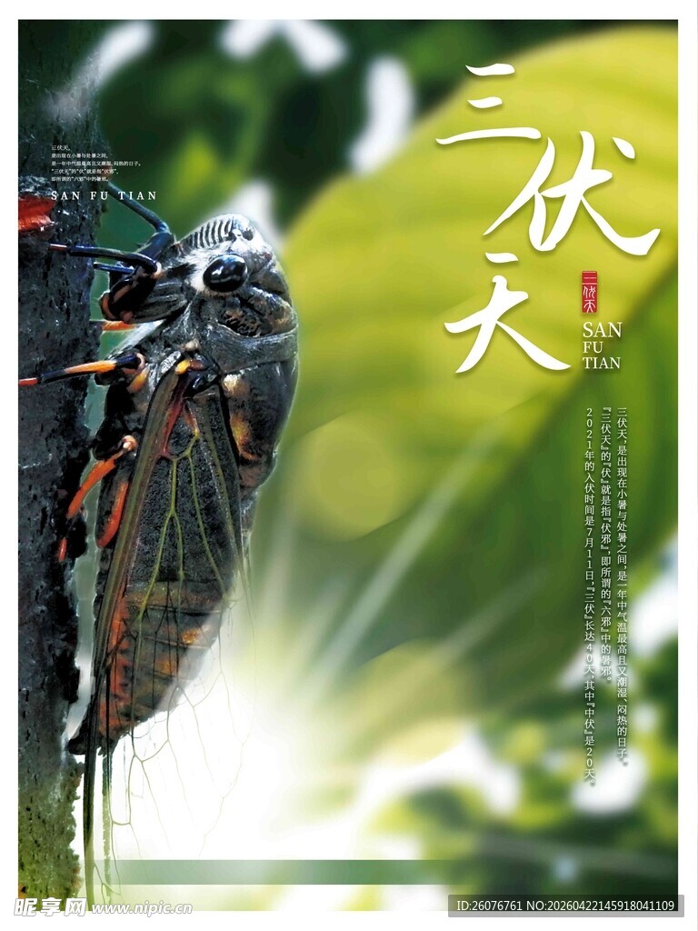 大暑海报 