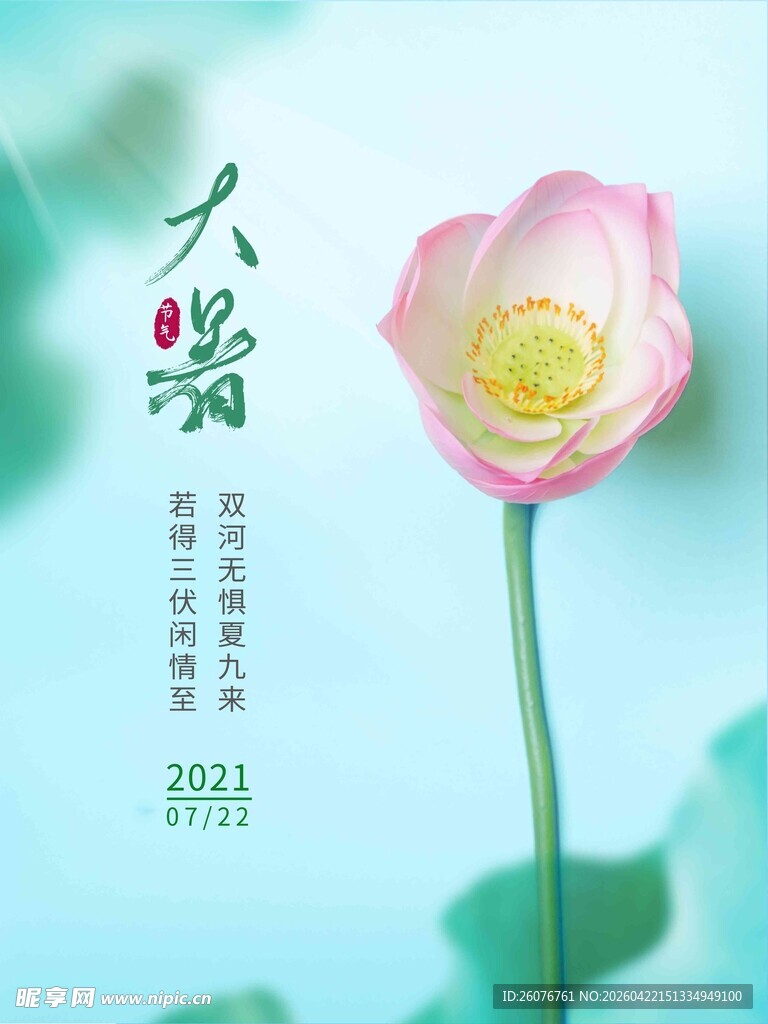 大暑海报