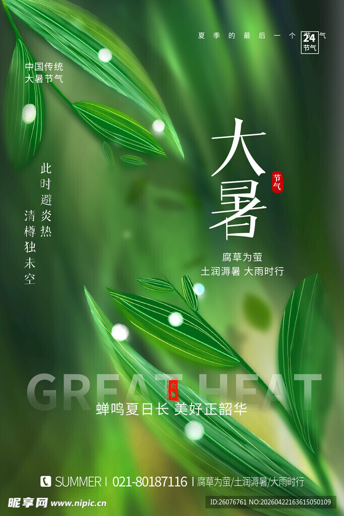 大暑海报 