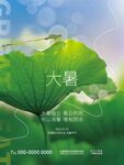 大暑海报 