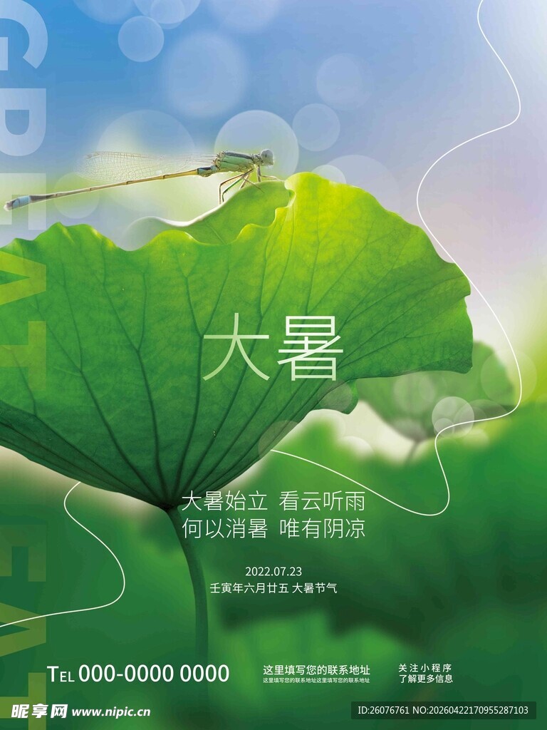 大暑海报 