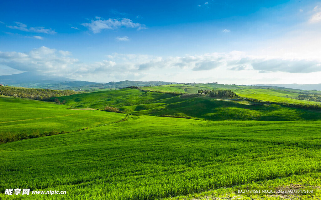 翠绿田野风光