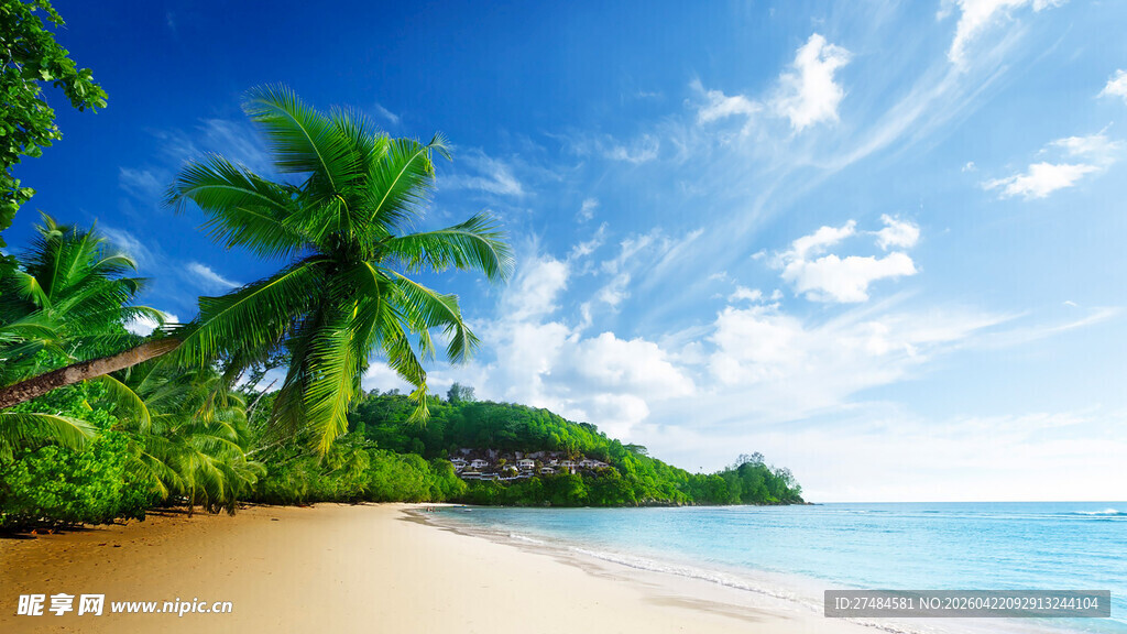 美丽热带海滩风光