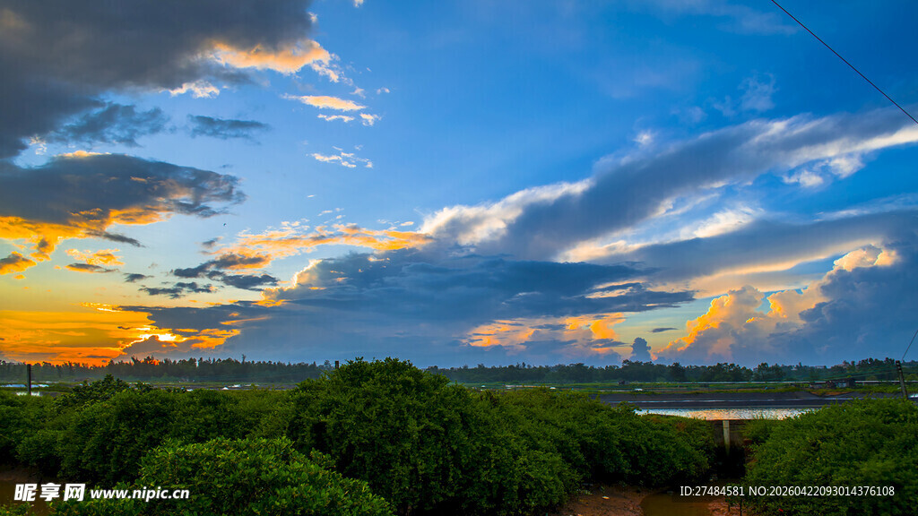 黄昏下的树海与绚丽天空