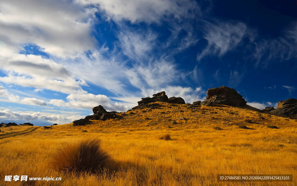 金黄旷野与蓝天白云美景