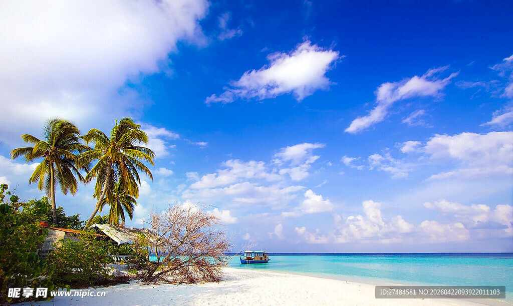 美丽热带海滩风光