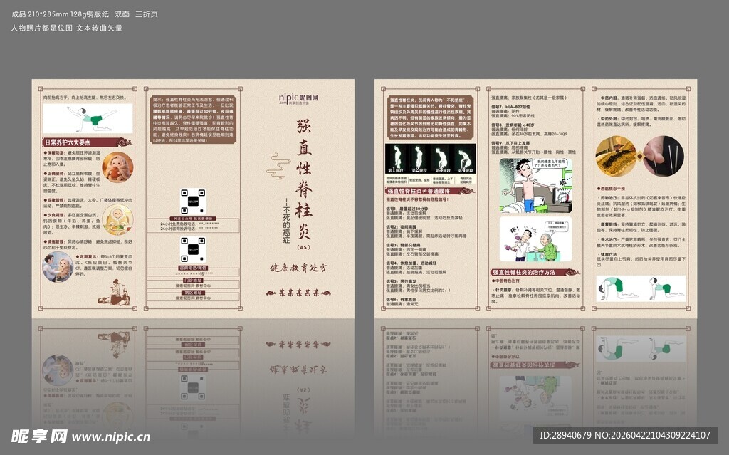 强直性脊柱炎三折页