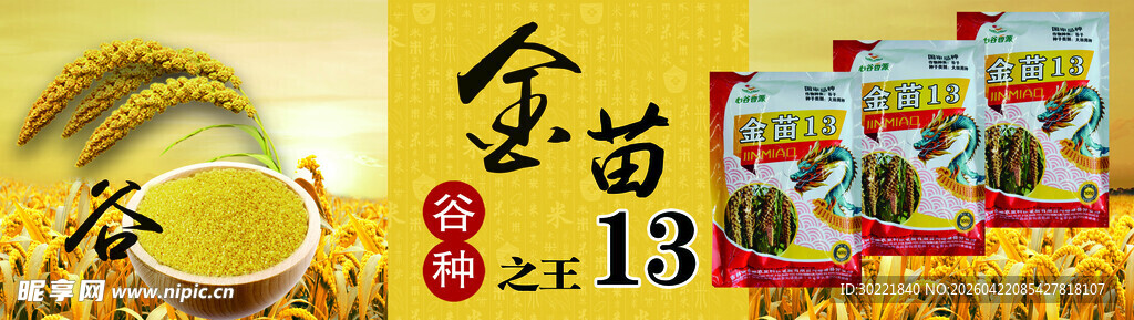 金苗小米活动展示