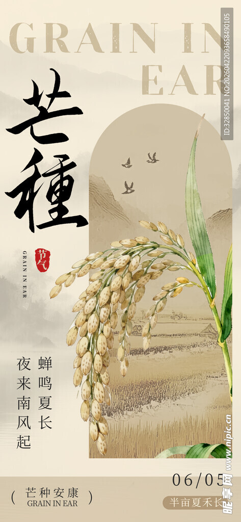 稻穗插画    感受农种之美