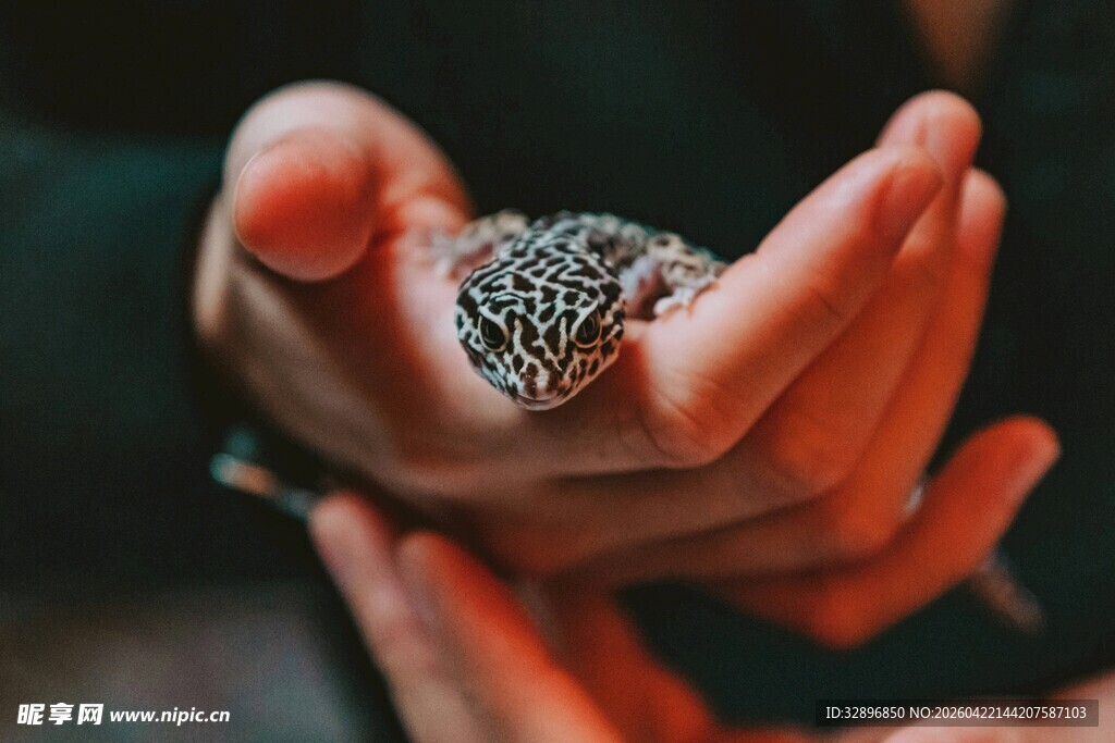 手中闪耀的精致珠宝戒指
